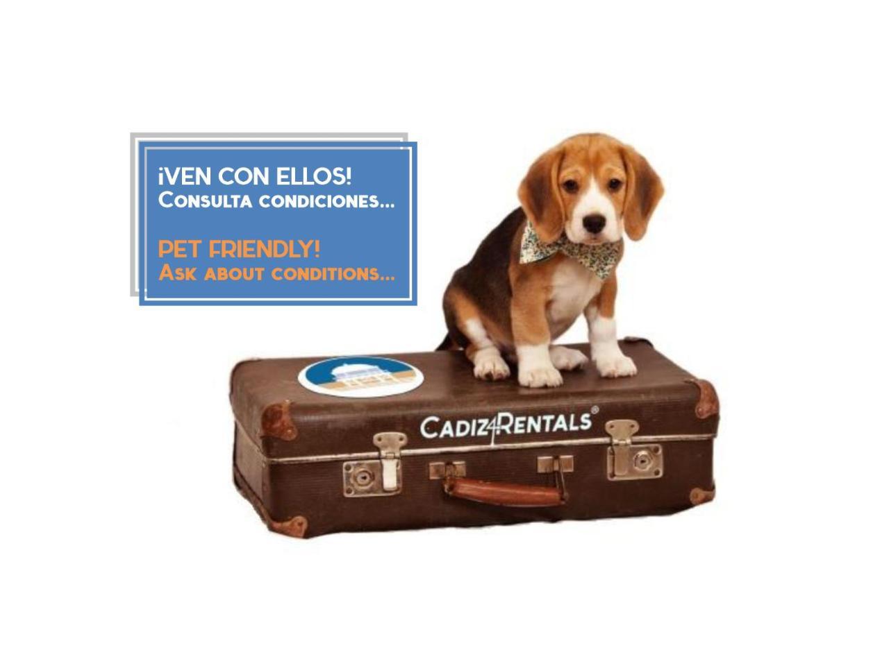 El Refugio Del Catedratico By Cadiz4Rentals (Adults Only) Esterno foto